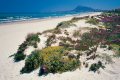 Holidays with family and friends in Dénia