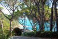 Urlaub in Llafranc an der Costa Brava in Spanien